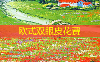欧式双眼皮花费