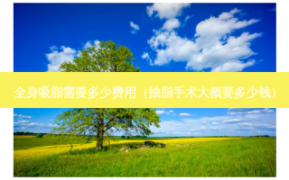 全身吸脂需要多少费用（抽脂手术大概要多少钱）