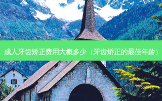 成人牙齿矫正费用大概多少（牙齿矫正的佳年龄）