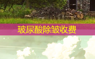 玻尿酸除皱收费