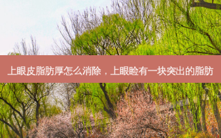 上眼皮脂肪厚怎么消除，上眼睑有一块突出的脂肪