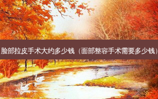 脸部拉皮手术大约多少钱（面部整容手术需要多少钱）