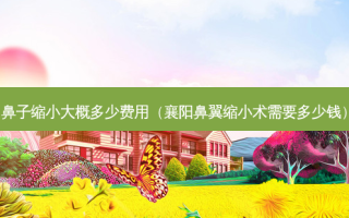 鼻子缩小大概多少费用（襄阳鼻翼缩小术需要多少钱）