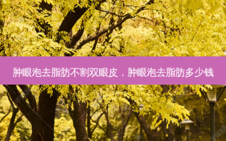 肿眼泡去脂肪不割双眼皮，肿眼泡去脂肪多少钱