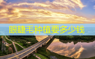 眼睫毛种植要多少钱