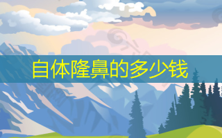 自体隆鼻的多少钱