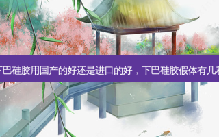 下巴硅胶用国产的好还是进口的好，下巴硅胶假体有几种