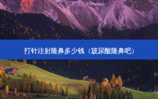 打针注射隆鼻多少钱（玻尿酸隆鼻吧）
