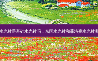 东国水光针是基础水光针吗，东国水光针和菲洛嘉水光针哪个好