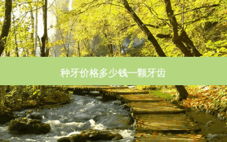 种牙价格多少钱一颗牙齿