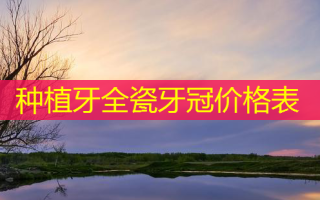 种植牙全瓷牙冠价格表