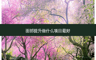 面部提升做什么项目好