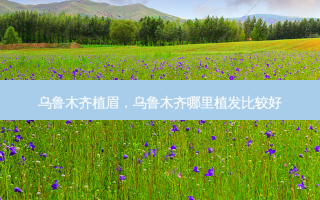 乌鲁木齐植眉，乌鲁木齐哪里植发比较好