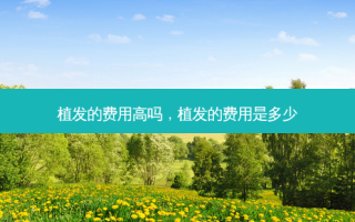 植发的费用高吗，植发的费用是多少