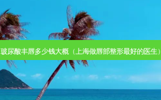 玻尿酸丰唇多少钱大概（上海做唇部整形好的医生）