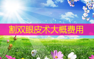 割双眼皮术大概费用