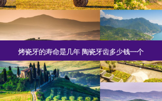 烤瓷牙的寿命是几年 陶瓷牙齿多少钱一个