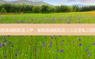 衡阳蒸湘医院是几甲，衡阳蒸湘医院是公立还是私立医院