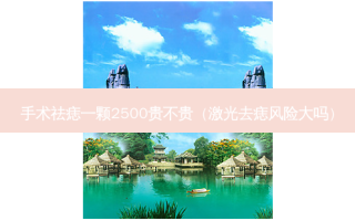 手术祛痣一颗2500贵不贵（激光去痣风险大吗）