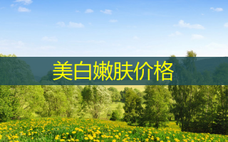 美 *** 肤价格
