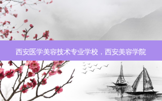 西安医学美容技术专业学校，西安美容学院