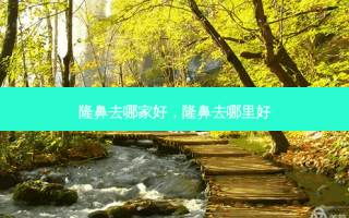 隆鼻去哪家好，隆鼻去哪里好