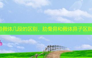 鼻假体几段的区别，肋骨鼻和假体鼻子区别