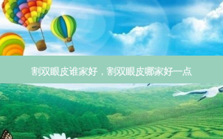 割双眼皮谁家好，割双眼皮哪家好一点