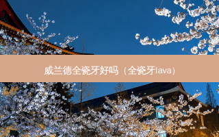 威兰德全瓷牙好吗（全瓷牙lava）