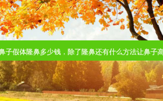 鼻子假体隆鼻多少钱，除了隆鼻还有什么 *** 让鼻子高