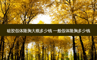 硅胶假体隆胸大概多少钱 一般假体隆胸多少钱