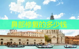 鼻部修复的多少钱