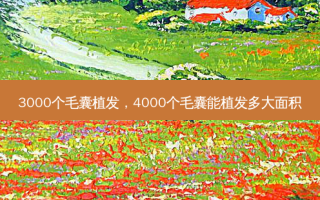 3000个毛囊植发，4000个毛囊能植发多大面积