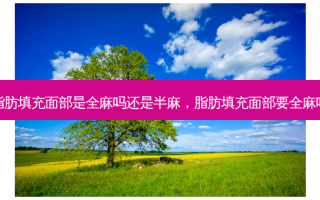脂肪填充面部是全麻吗还是半麻，脂肪填充面部要全麻吗