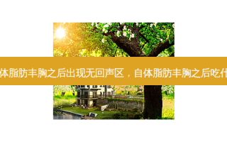 自体脂肪丰胸之后出现无回声区，自体脂肪丰胸之后吃什么