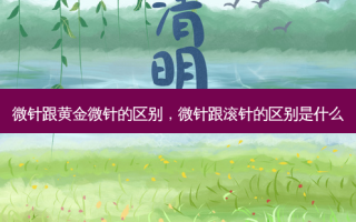微针跟黄金微针的区别，微针跟滚针的区别是什么