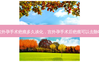 宫外孕手术疤痕多久淡化，宫外孕手术后疤痕可以去除吗