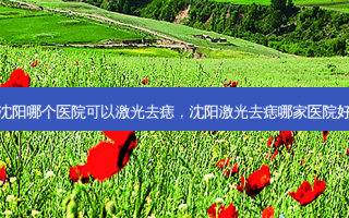 沈阳哪个医院可以激光去痣，沈阳激光去痣哪家医院好