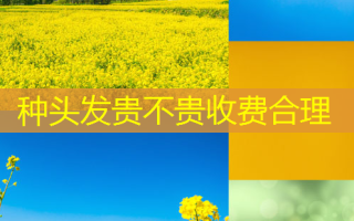 种头发贵不贵收费合理