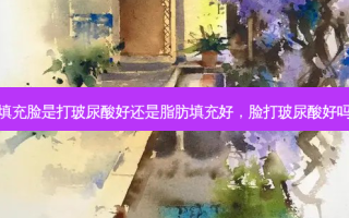 填充脸是打玻尿酸好还是脂肪填充好，脸打玻尿酸好吗