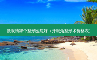 做眼睛哪个整形医院好（开眼角整形术价格表）