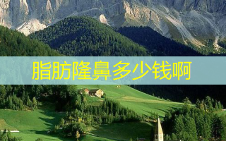 脂肪隆鼻多少钱啊