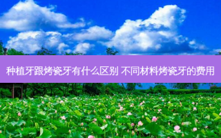 种植牙跟烤瓷牙有什么区别 不同材料烤瓷牙的费用