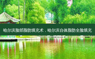 哈尔滨脸部脂肪填充术，哈尔滨自体脂肪全脸填充