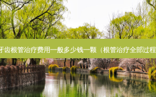 牙齿根管费用一般多少钱一颗（根管全部过程）