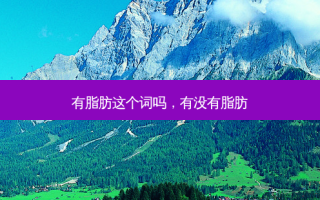 有脂肪这个词吗，有没有脂肪