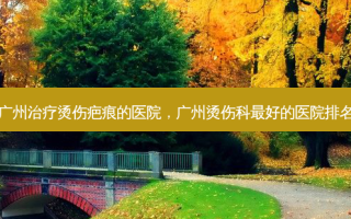 广州烫伤疤痕的医院，广州烫伤科好的医院排名