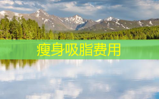 瘦身吸脂费用