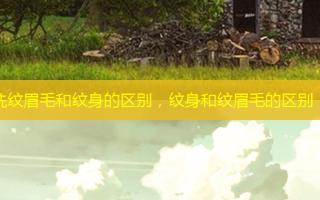 洗纹眉毛和纹身的区别，纹身和纹眉毛的区别