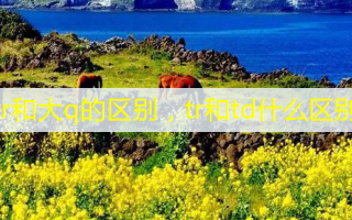 tr和大q的区别，tr和td什么区别